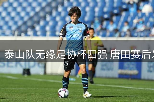 泰山队无缘足协杯四强 唐田赛后发布会多次强调差距